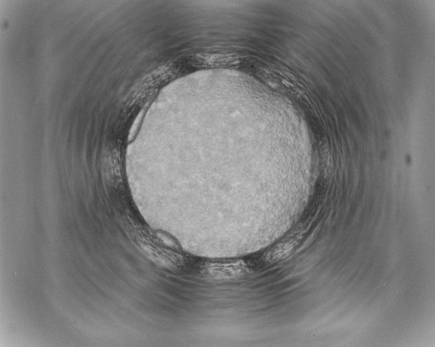 X0000070870571200607150124