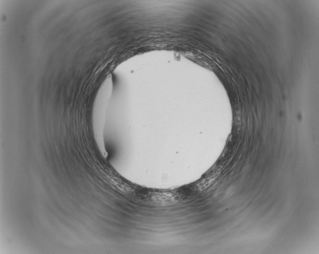 X0000070870572200607150124