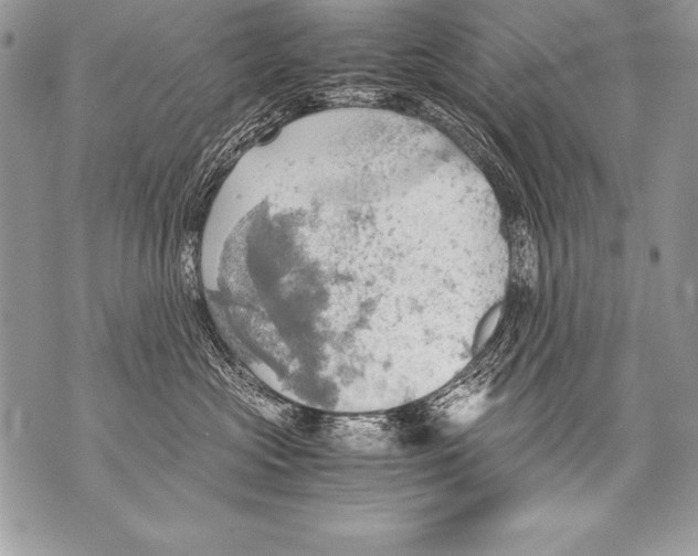 X0000070870573200607150124