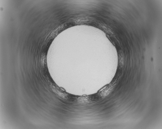 X0000070870574200607150124