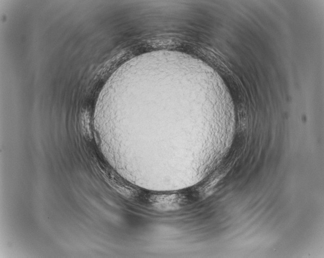 X0000070870575200607150124