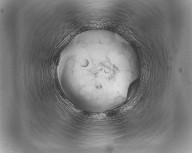 X0000070870576200607150124