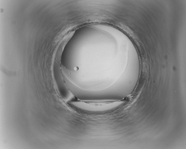 X0000070870577200607150123