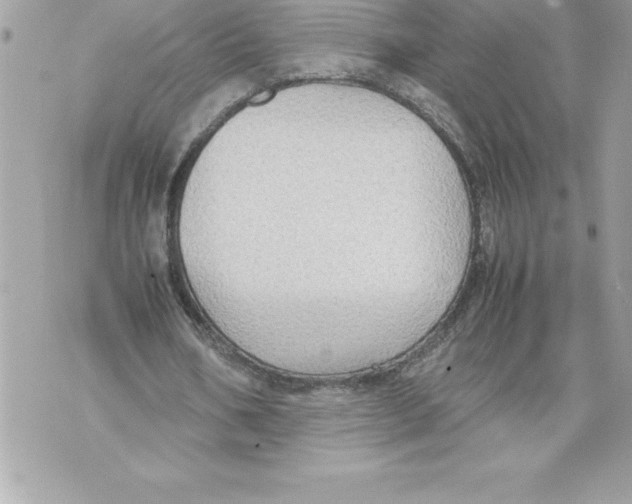 X0000070870578200607150123