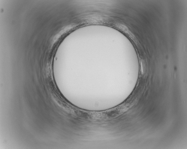 X0000070870579200607150123