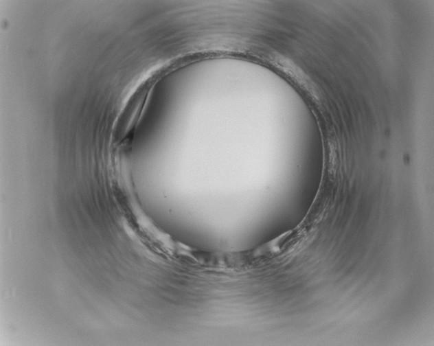 X0000070870580200607150123