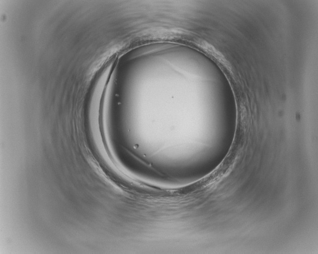 X0000070870581200607150123