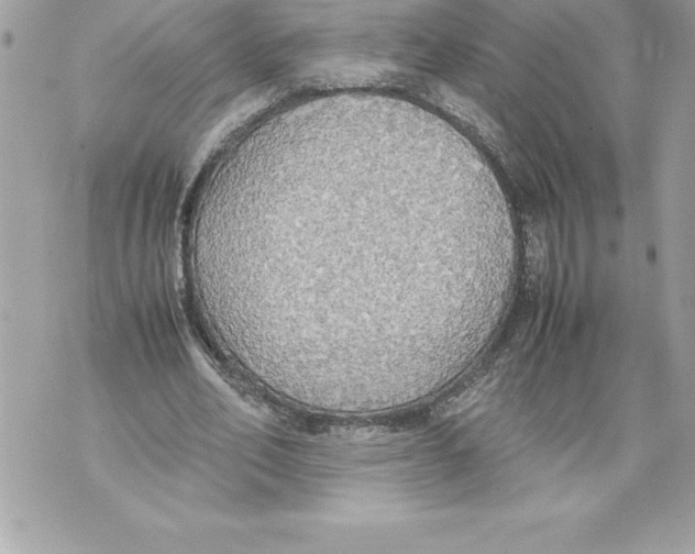 X0000070870582200607150123