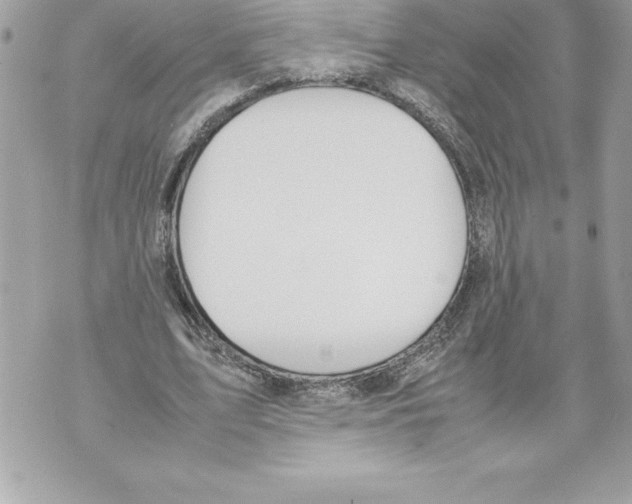 X0000070870583200607150123