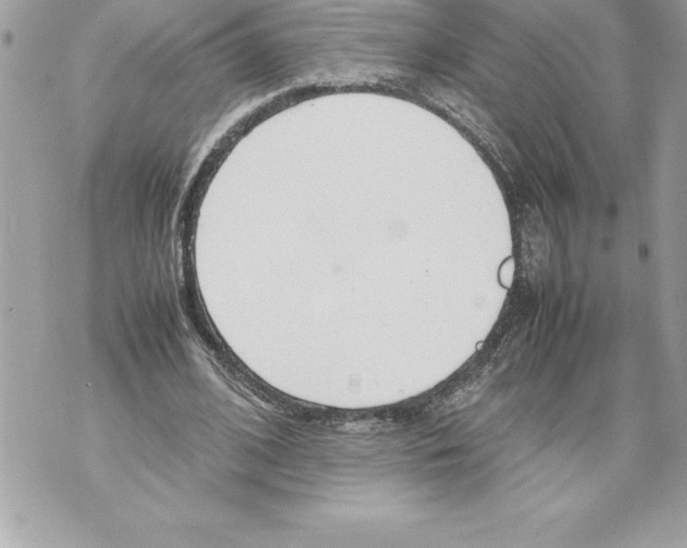 X0000070870584200607150123