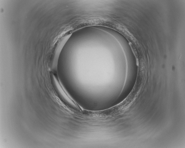 X0000070870585200607150123