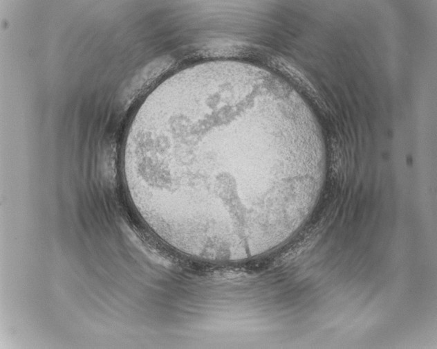 X0000070870586200607150123