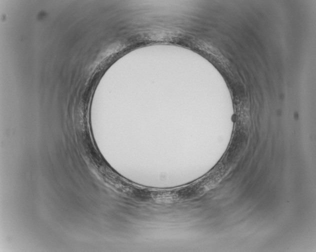 X0000070870587200607150123