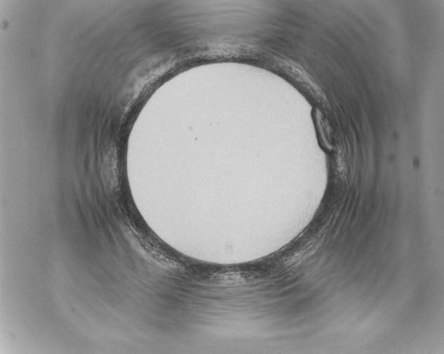 X0000070870588200607150123