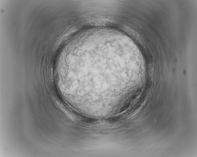 X0000070870589200607150123