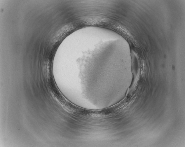 X0000070870590200607150123