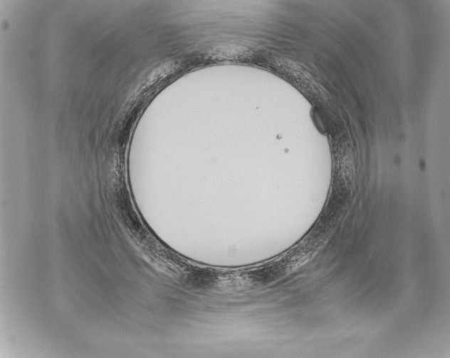 X0000070870591200607150123