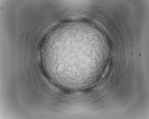 X0000070870593200607150123