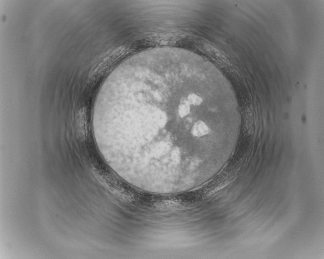 X0000070870594200607150123