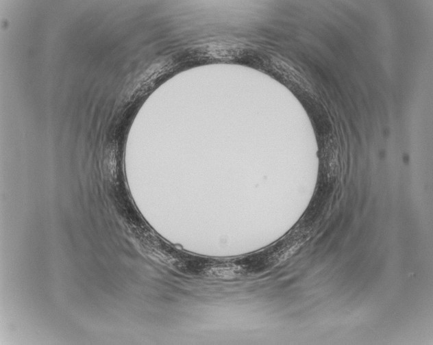 X0000070870595200607150123