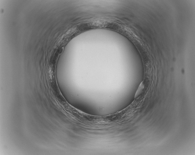 X0000070870597200607150123