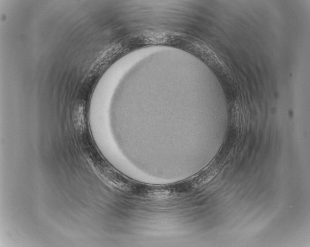 X0000070870598200607150123