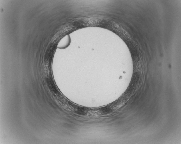 X0000070870599200607150123