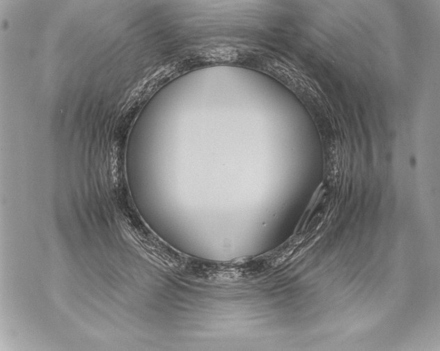 X0000070870600200607150123