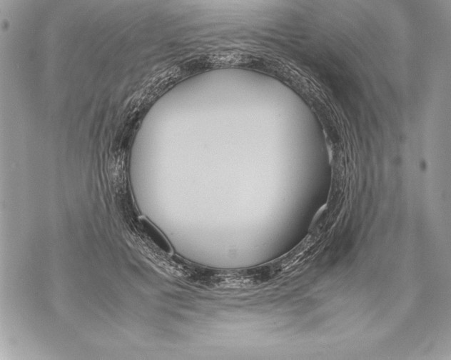 X0000070870601200607150123