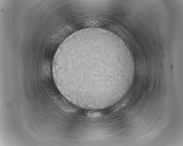 X0000070870602200607150123