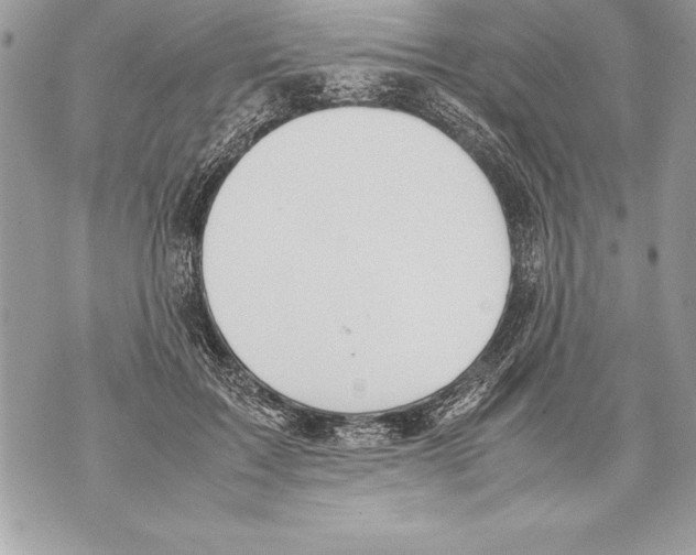 X0000070870603200607150123