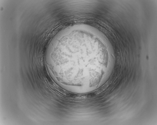 X0000070870604200607150123