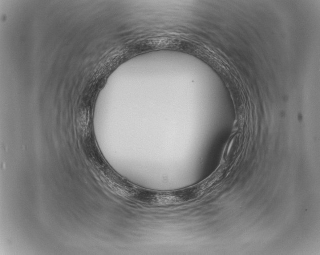 X0000070870605200607150123