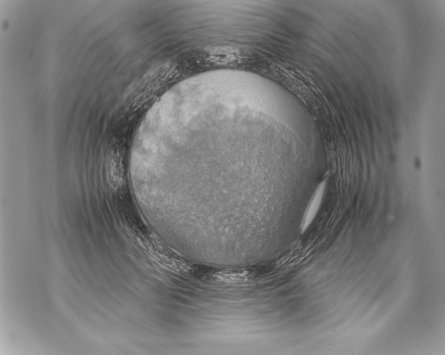 X0000070870606200607150123