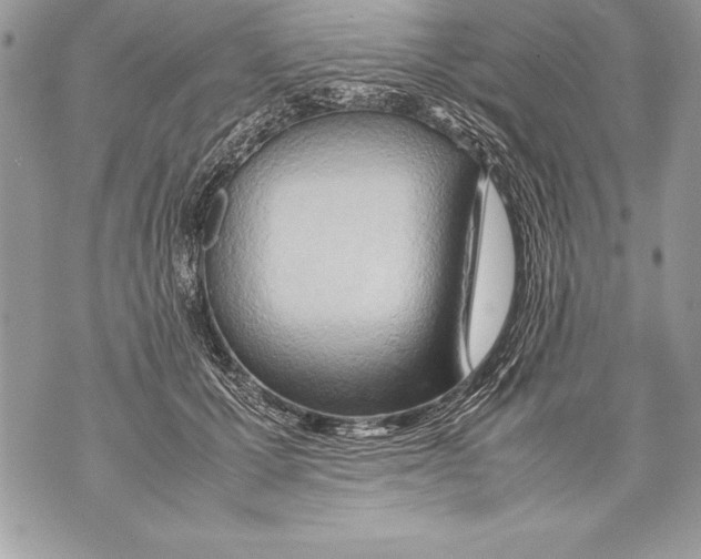 X0000070870607200607150123