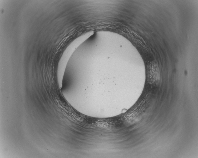 X0000070870608200607150123