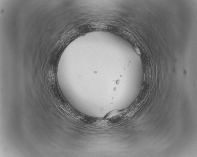 X0000070870609200607150123