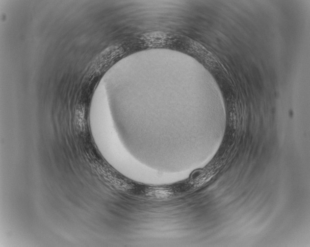 X0000070870610200607150123