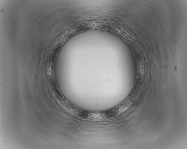 X0000070870611200607150123