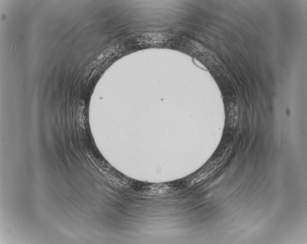 X0000070870612200607150123