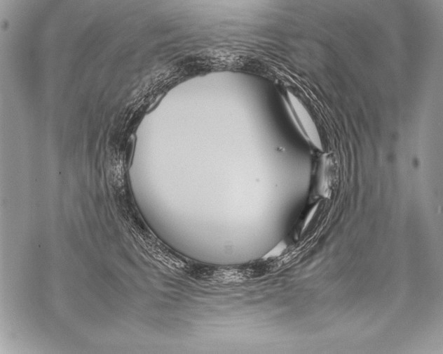 X0000070870613200607150123