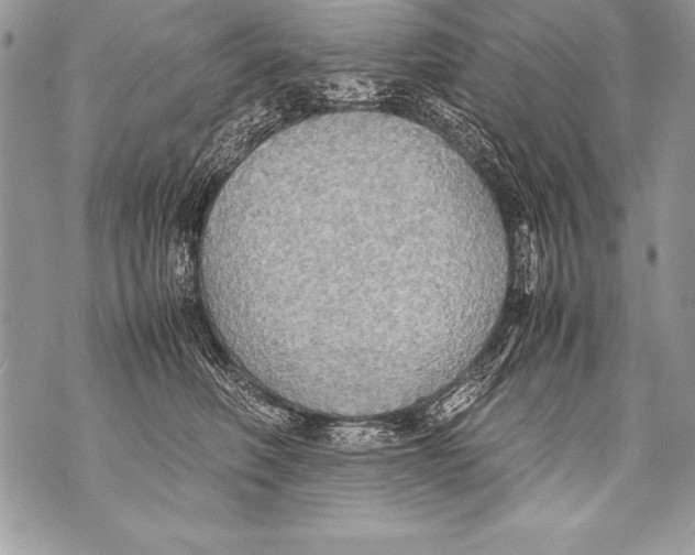 X0000070870614200607150123