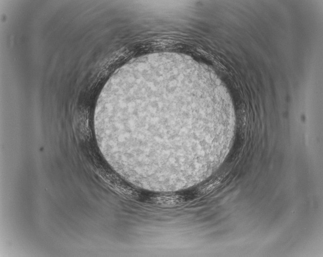 X0000070870615200607150123