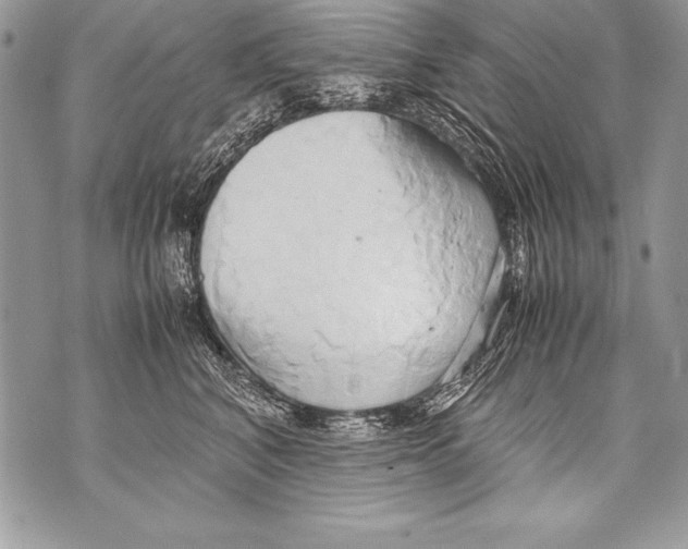 X0000070870616200607150123