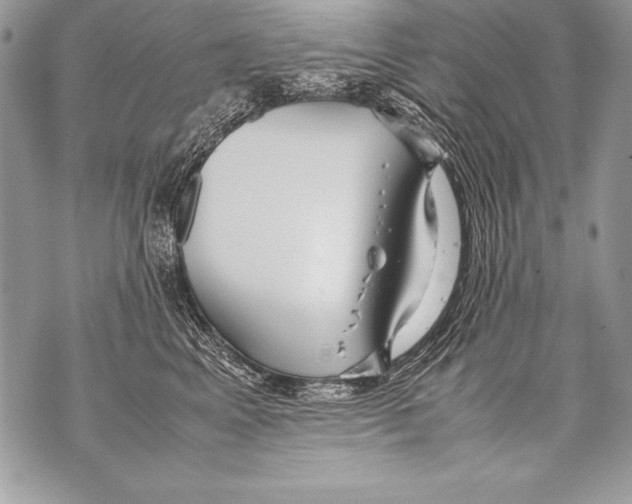 X0000070870617200607150123