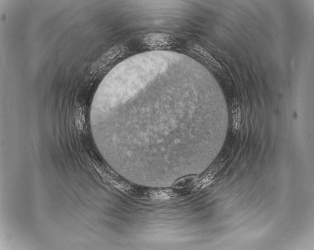 X0000070870618200607150123