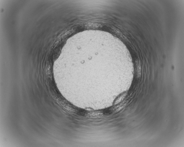 X0000070870619200607150123