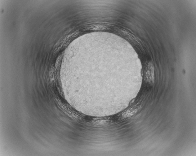 X0000070870620200607150123