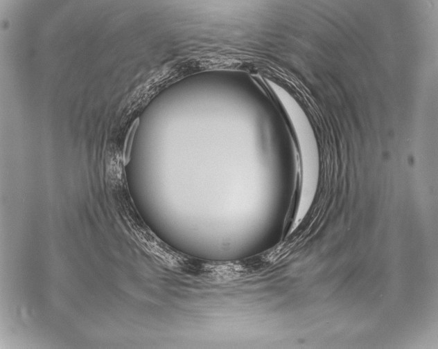 X0000070870621200607150123