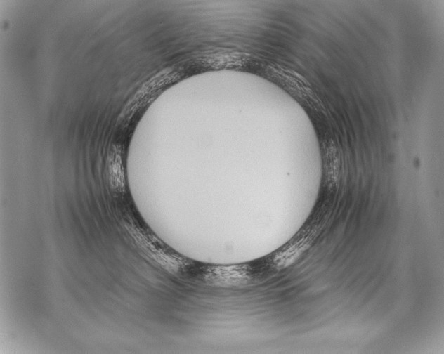 X0000070870622200607150123